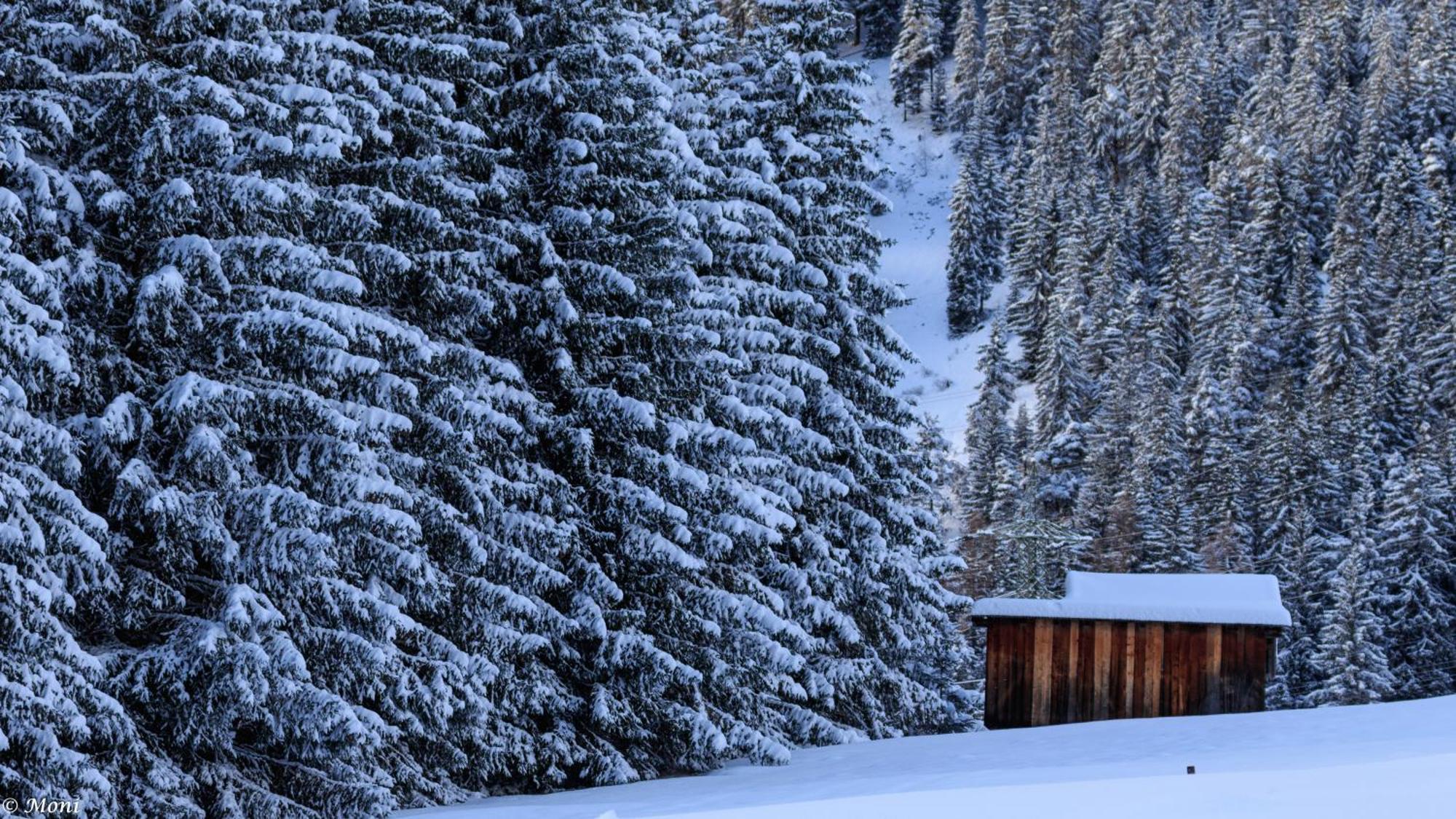 Apartmán Haus Timmler Sankt Anton am Arlberg Exteriér fotografie